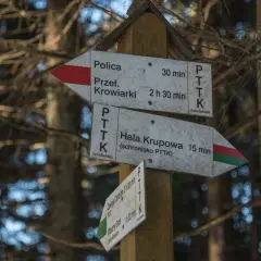 Znaki szlaku PTTK wskazują drogę do Hali Krupowej (15 min) i Przełęczy Krowiarki (2h 30 min).