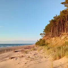 Piękna plaża w Wiśle, z piaszczystym brzegiem, morzem i sosnowym lasem na wydmach.