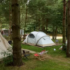 Namioty na biwaku w lesie. Dwa rozstawione namioty, jeden stożkowy, drugi kopułowy, otoczone drzewami.