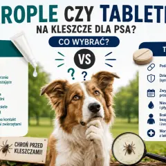 Co najlepsze na kleszcze dla psa? Porównanie kropli i tabletek. Piesek zastanawia się nad wyborem ochrony.