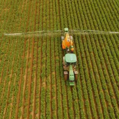 Traktor opryskuje pole roślin. Rolnik zastanawia się, ile siarczanu magnezu na hektar użyć, by uzyskać najlepsze plony.