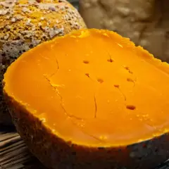 Pomarańczowy ser di bufala z widocznymi pęknięciami i dziurkami, leżący na słomie obok innych serów.