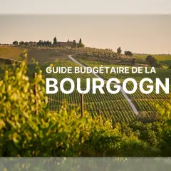 Paysage de vignobles en Bourgogne, idéal pour trouver quel vin rouge bourguignon choisir.