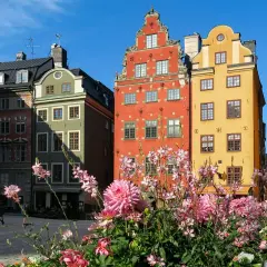 Färgglada hus på Stortorget, perfekt för ett hotell nära stortorget. Blommor i förgrunden.