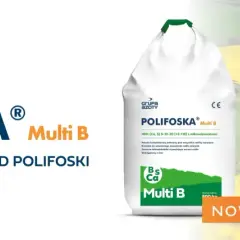 Worek nawozu POLIFOSKA Multi B na tle kwitnącego pola rzepaku. Wysoki plon zaczyna się od POLIFOSKI.