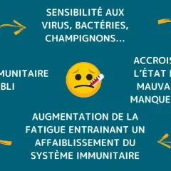 Un cercle vicieux : un système immunitaire affaibli rend sensible aux infections, causant fatigue et manque de vitalité, ce qui affaiblit encore plus le système immunitaire.