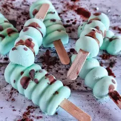 Deliziosi gelati alla menta con gocce di cioccolato, pronti per essere gustati su un bastoncino di legno.
