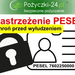 Wyciek PESEL: Jak się chronić? Zastrzeżenie i Alerty BIK