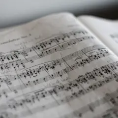 Kto może prowadzić zajęcia z muzykoterapii i jakie ma kwalifikacje?