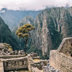 Die Ruinen von Machu Picchu, umgeben von steilen, grünen Bergen. Eine einsame Baumkrone ragt über die alten Steine. Ein unvergessliches Erlebnis auf meiner Machu Picchu Reise.
