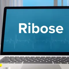 Ein Laptop zeigt "Ribose" an, daneben eine DNA-Helix und Pillen. Ribose ist ein wichtiger Zucker für das Leben.
