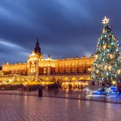 Magiczny jarmark bożonarodzeniowy krakow. Rozświetlona choinka, Sukiennice i karoca z końmi tworzą świąteczną atmosferę.