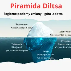 Piramida Diltsa jako góra lodowa: środowisko, zachowania, przekonania, wizja i tożsamość.