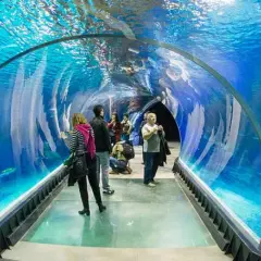 Oceanarium Warszawa: Dlaczego nie znajdziesz tu żywych organizmów?