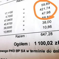 Szacunkowe ile kosztuje centralne ogrzewanie w bloku: 1100,02 zł. Na rachunku widać różne pozycje, m.in. za wodę i ogrzewanie.