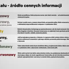 Czarny, smolisty stolec może być efektem przyjmowania żelaza. W innym przypadku może oznaczać krwawienie z przewodu pokarmowego.