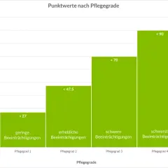 Balkendiagramm zeigt Punktwerte nach Pflegegraden gemäß 15 SGB XI. Von keinem Pflegegrad bis Pflegegrad 5 steigen die Punkte.