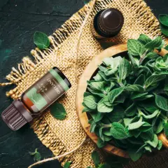 Butelka olejku oregano obok miski świeżego oregano na płóciennym tle.