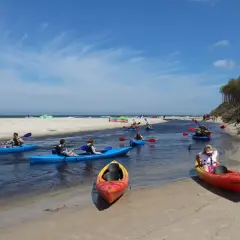 Kajaki płynące rzeką w Piaśnicy Dębki. Słoneczny dzień, piaszczysta plaża i las sosnowy w tle.