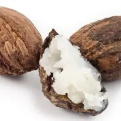 Drei Shea-Nüsse, eine davon geöffnet und mit cremig-weißer Sheabutter essbar gefüllt.