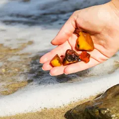 Dłoń trzyma kilka kawałków bursztynu. To idealne miejsce, gdzie szukać bursztynu – na plaży, tuż przy falach.