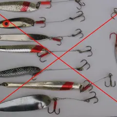 Przynęty na belonę: TOP 5 blaszek i sekret szybkiego prowadzenia!