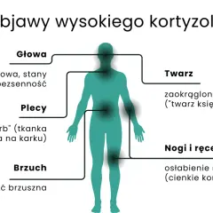 Wysoki kortyzol objawy: mgła mózgowa, lęki, bezsenność, garb, otyłość brzuszna, okrągła twarz, osłabienie mięśni.
