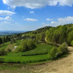 Zielone wzgórza Beskidu Sądeckiego, gdzie pasmo brzanki tworzy malowniczy krajobraz z polami i lasami.