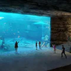 Oceanarium Łódź: Niezapomniane atrakcje i podwodne przeżycia