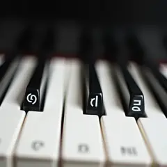 Zbliżenie na klawisze pianina z literami C, G, D, A, E. Widzimy, jak podpisać klawisze na pianinie, by łatwiej zacząć naukę.