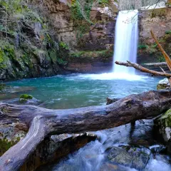 Impresionantes cascadas en Galicia, con un tronco caído en primer plano y aguas turquesas.