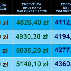 Ile ważą modelki? Wymiary, zdrowie i ewolucja branży 2026