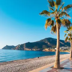 Piękna plaża w Alicante, idealna na październik. Palmy, morze i góry tworzą malowniczy krajobraz.