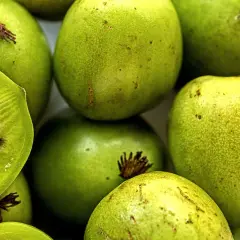Zbliżenie na zielone owoce kiwi, jeden przekrojony na pół, ukazujący miąższ i pestki.