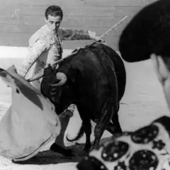 El viti torero, con su traje de luces, se enfrenta a un toro bravo en la arena.