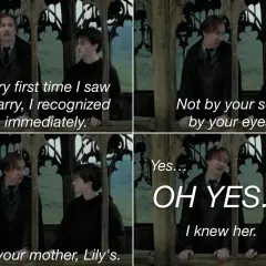 Remus Lupin mówi Harry'emu, że rozpoznał go po oczach, które przypominały mu Lily.