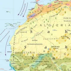 Afryka powierzchnia: pustynne krajobrazy Sahary Zachodniej, Algierii i Mauretanii z oazami i górami.