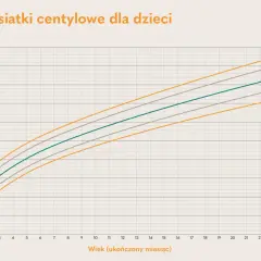 Wykres pokazuje siatki centylowe dla dzieci, ilustrując, jak centyl odnosi się do wzrostu i wieku.