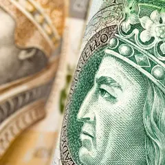Zbliżenie na polskie banknoty. Zastanawiasz się, kiedy kupić obligacje skarbowe?