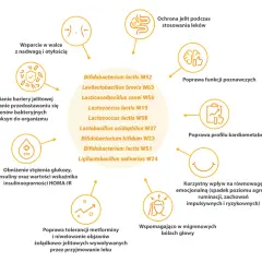 Sanprobi probiotyk wspiera walkę z nadwagą, wzmacnia barierę jelitową i poprawia funkcje poznawcze.
