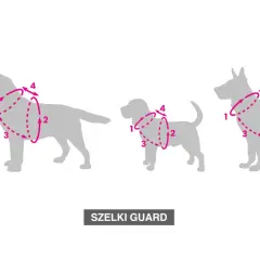 Szelki dla psa: Jak założyć, by były wygodne i bezpieczne?