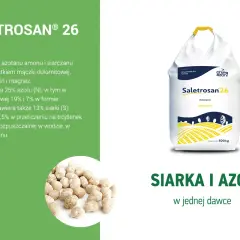 Saletrosan 26 - nawóz z siarką i azotem. Torba z nawozem Saletrosan 26 i granulki nawozu.
