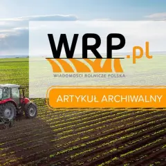 Czerwony traktor orze pole, zostawiając za sobą ślady jak po kredzie. W tle logo WRP.pl i napis "Artykuł archiwalny".