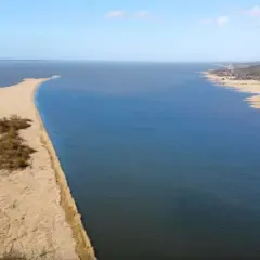 Rezerwat przyrody Zatoka Elbląska - fascynujący świat ptaków i przyrody