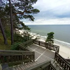 Drewniane schody prowadzą na plażę nad Bałtykiem. Widok z **Kawczej Góry w Międzyzdrojach** na morze i las.