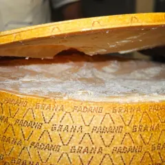 Un pezzo di Grana Padano viene sollevato, mostrando la sua crosta e la pasta interna. Le proprietà del Grana Padano sono evidenti nella sua consistenza.