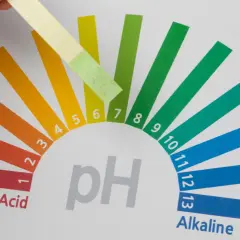 Bandelette réactive testant le ph de l'eau minérale, montrant un résultat légèrement alcalin, entre 6 et 7.