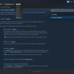 Ustawienia prywatności Steam. Dowiedz się, jak uzupełnić trade url, zarządzając widocznością swojego profilu, listy znajomych i ekwipunku.