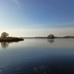 Spokojne wody Stawów Milickich, idealne na rowerowe wycieczki. Wyspa z drzewem odbija się w tafli.