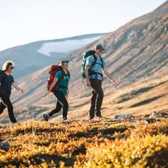 Vandrare njuter av en solig dag på fjället, kanske på väg mellan Saltoluokta och Kvikkjokk.
